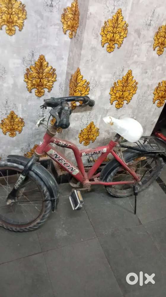 Best cycle