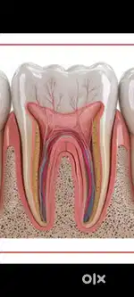Experienced Dental assistant