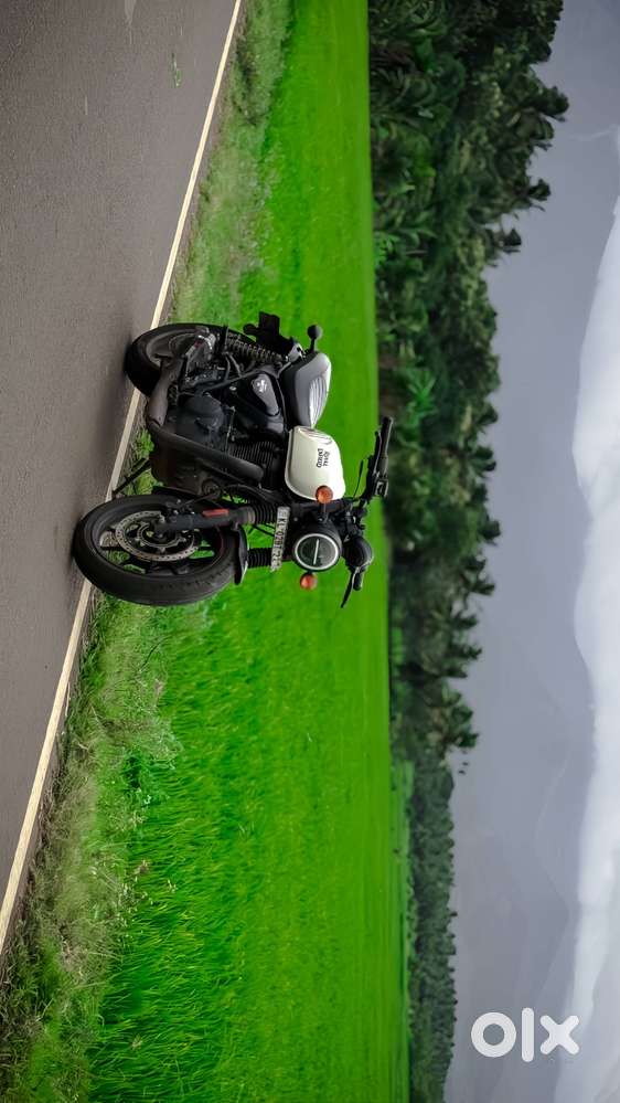 Stock Hunter 350