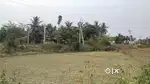 Agriculture land for sale