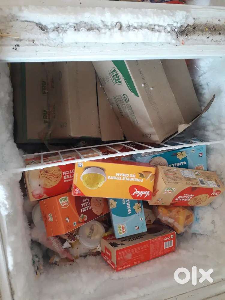 Blue Star Double Door Deep freeze