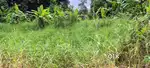 Property Near MC Road Kottayam