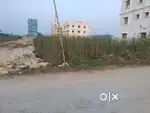 Rent for open space  pahala Bishnu vihar