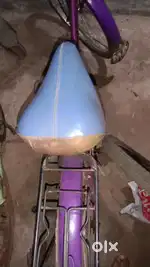 Laddy Bird Bicycle
