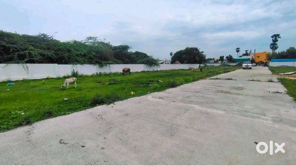 POTHERI ON ROAD PLOT FOR SALE