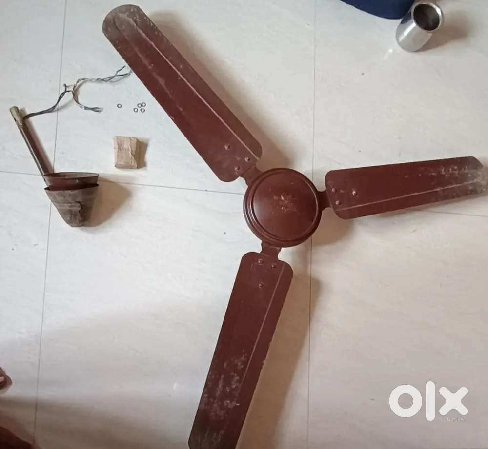 Ceiling fan