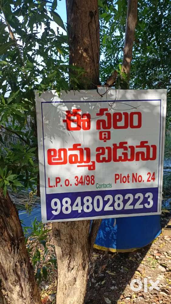 Timmapuam  durga gudi back side