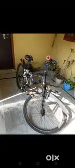 Double Shocker Bicycle