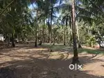 Edakazhiyur plot