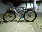 Mens cycle