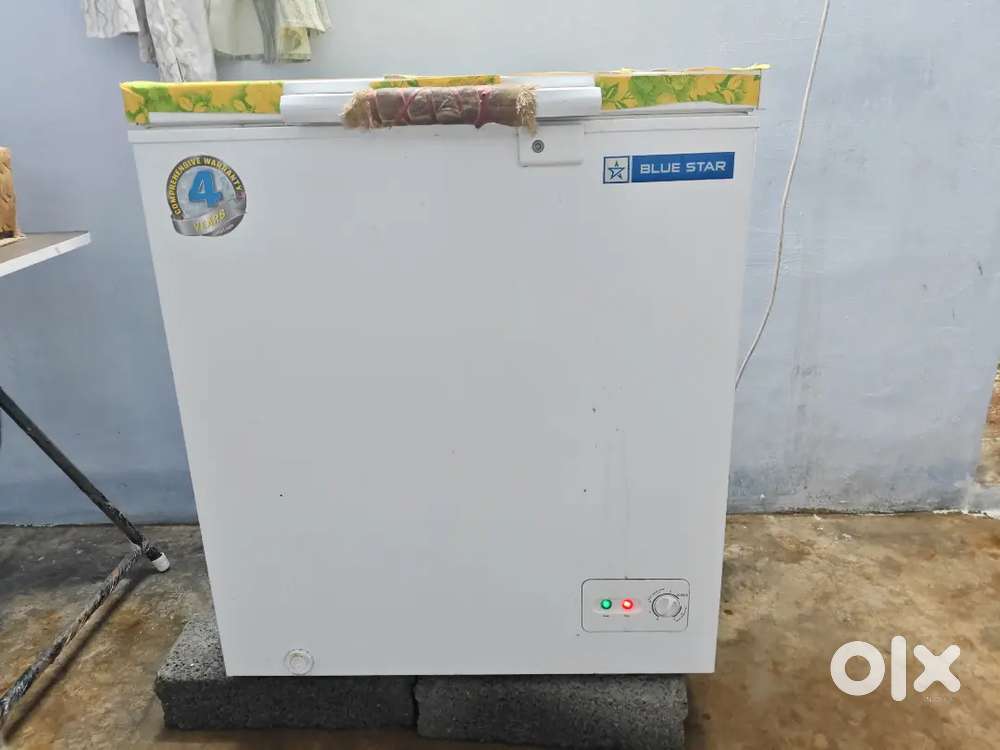 Bluestar Deep Freezer- 142L Good Working