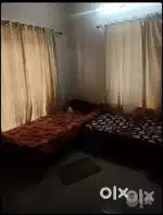 Ladies paying guest for daily or monthly rentals at Edappally