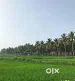 Agriculture land / agricultural land / farm land / farm house