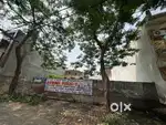 440 plot can be sold in 220 gaj each