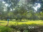 Farm land sale in alagarkovil