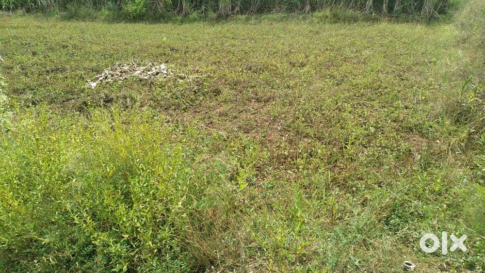 Land for sale near collector office purasapalayam