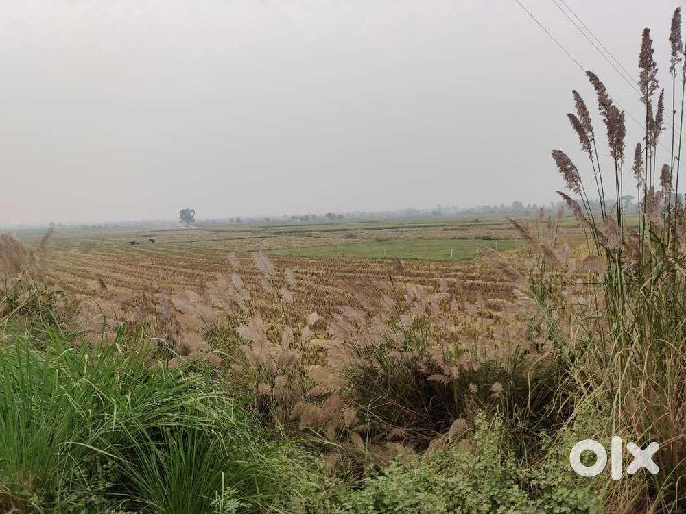 Jewer Air Port UP Land for Sale  Jewar Connect Road  Palwal Highway