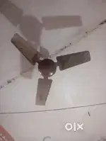 Calling fan