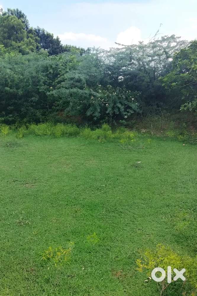 Empty place only tower  use plot , I want rent monthly 20000