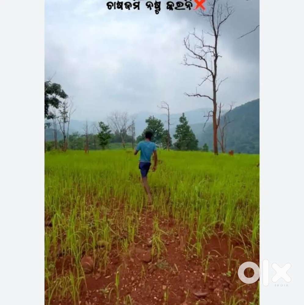 Mu farm land kiniba pai chauchi