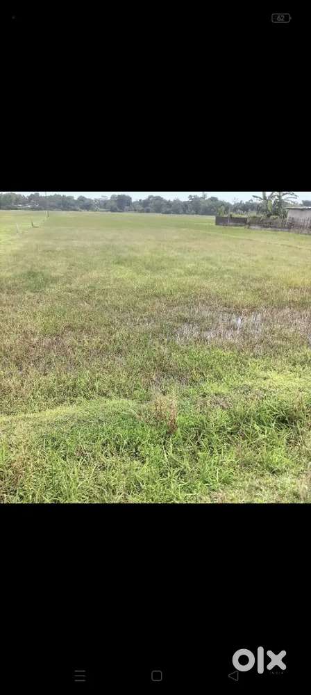 Thakurthan lekai per katha price 12 lakhs total plot 6 katha