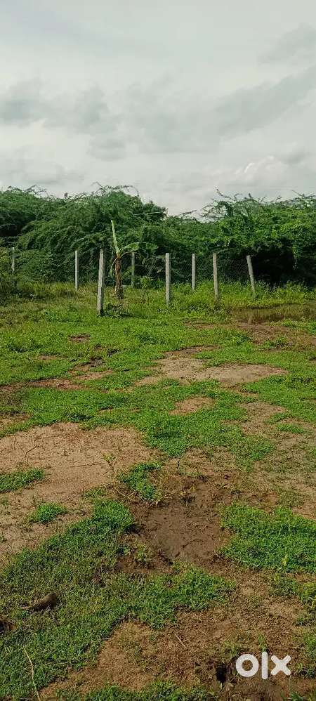 Villiyanur Thirukanchi Temple nearby Mahalaxmi Nagar approved plot
