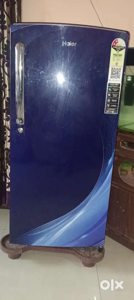 Haier company 1st year old