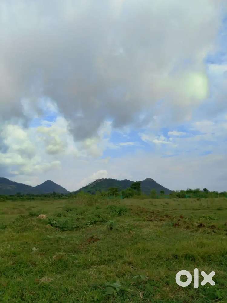 Great opportunity to build a career in real estate sector