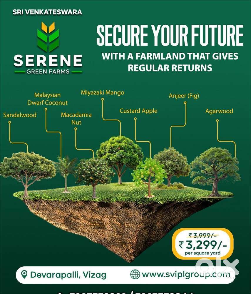 NRIs Prefer This Investment! High Appreciation Farm Plots