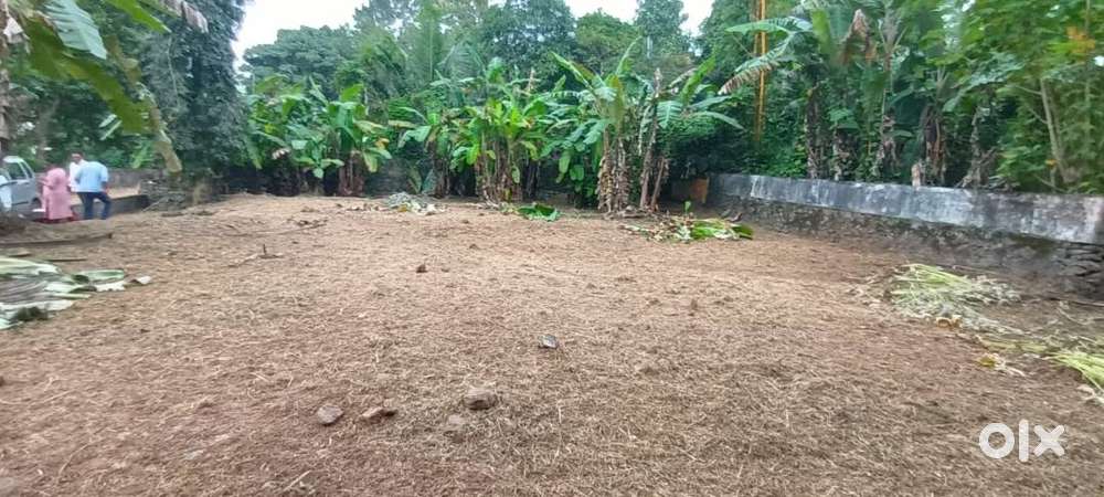 Plot near Kumbanad Junction