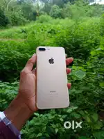 iPhone 7 plus