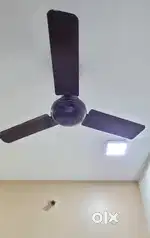 Crompton Ceiling fans