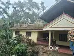 മാള കോട്ടമുറിയിൽ 27 സെന്റ് സ്ഥലത്തിൽ വീട് വില്പനക്ക്