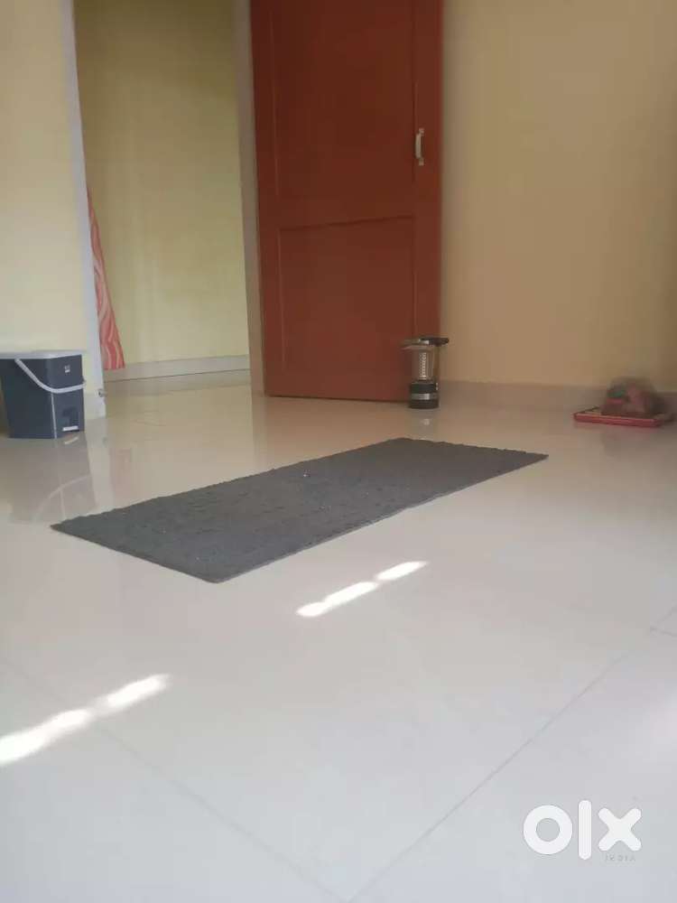 Need male room mate