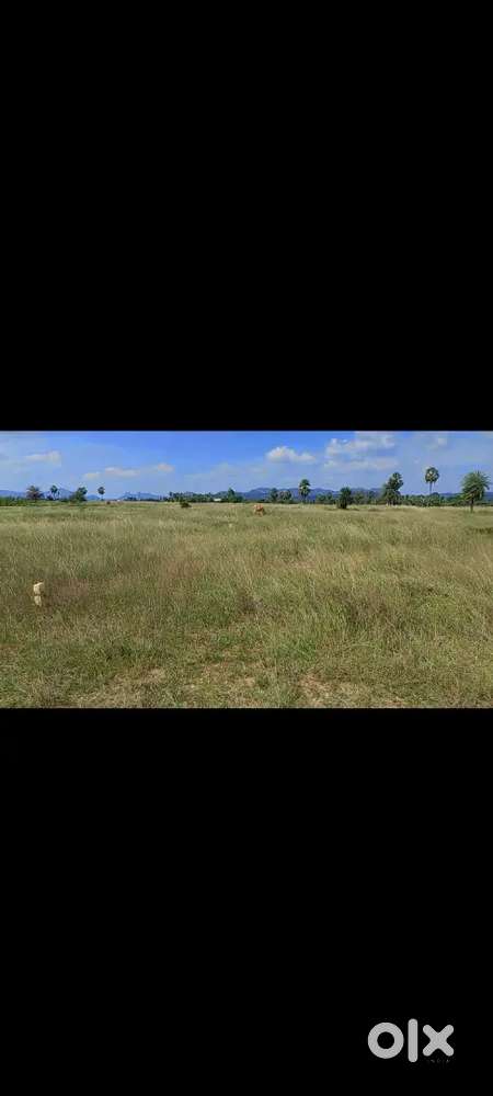 patta land available with registration