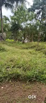 Mavelikkara ,kunnam