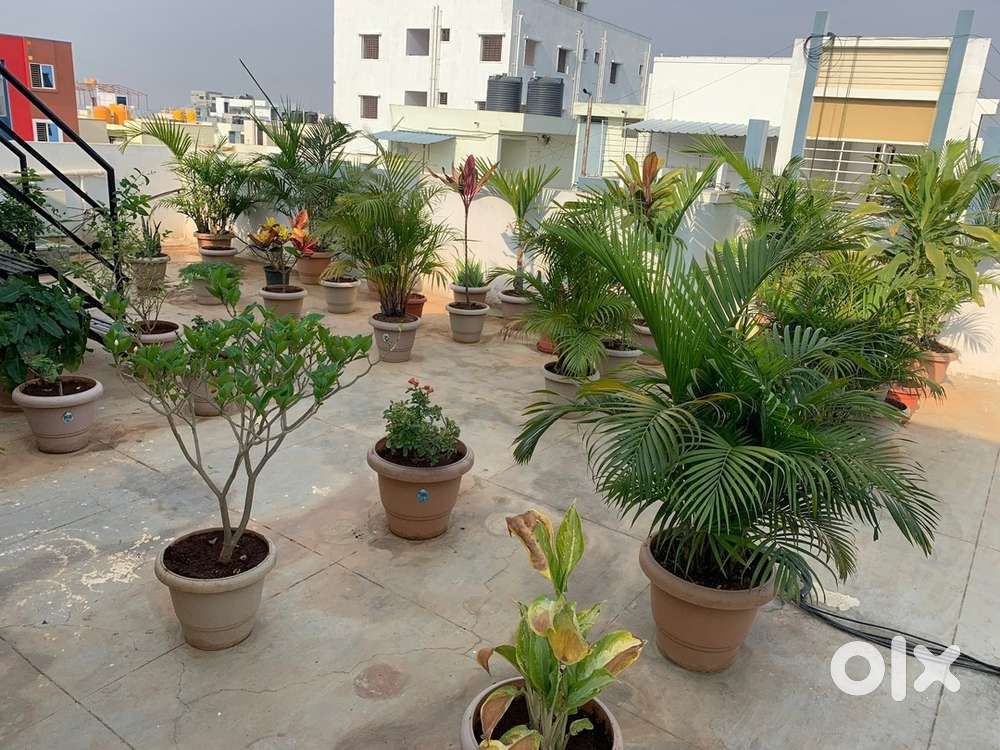 Separate Boys & Girls PG  Civil Lines Ludhiana  From ₹3500