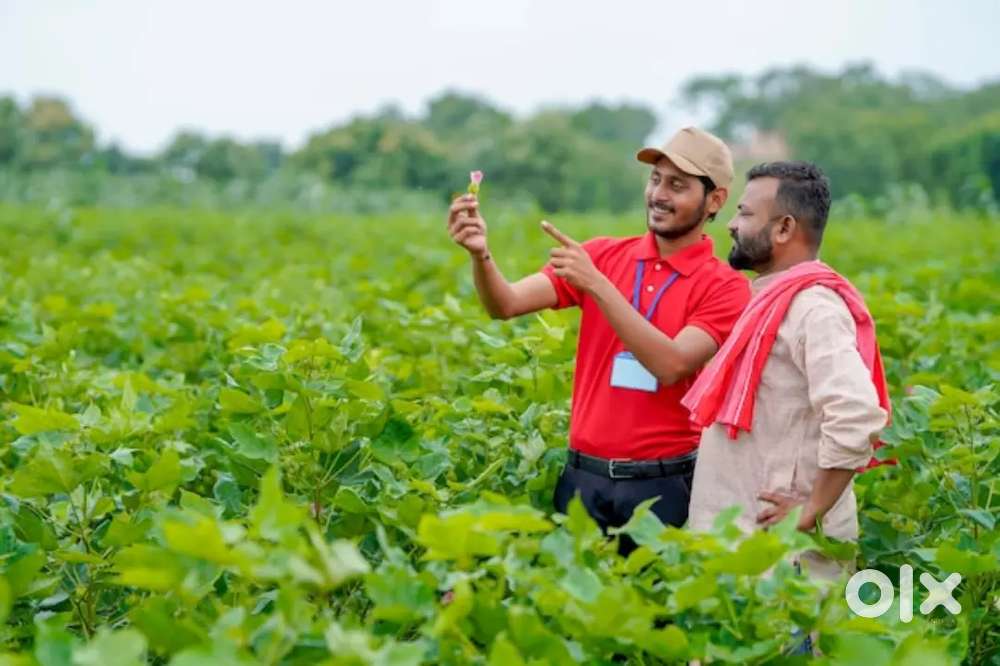Agri Field Officer