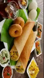 Tiffin Masters kavali