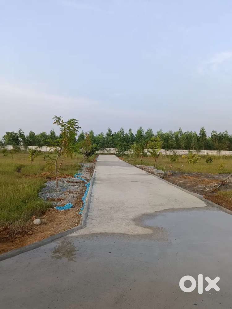 Exclusive farm House plots for sale nearby Tirupati