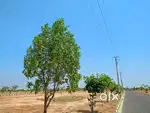 YADADRI MAINROAD PLOTS