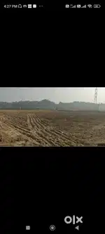 3 Acre Agriculture Land for sale in Village Rail Majra