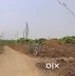 24 ACRES LAND FOR SALE ON CHINTAMANI- BANGALORE ROAD