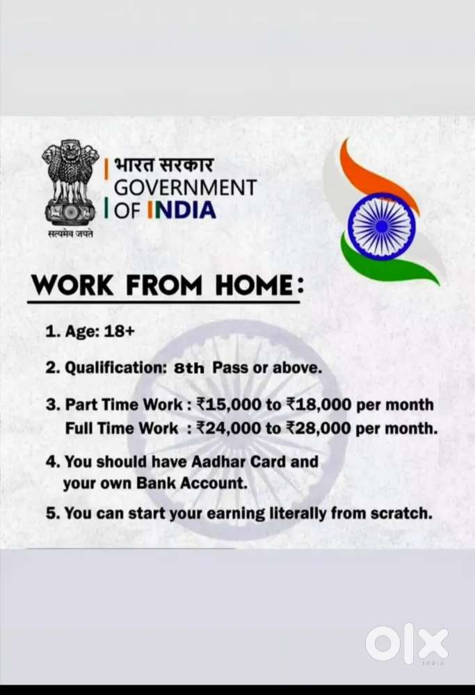Work from home government project
