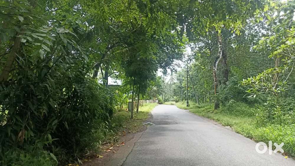 വട്ടപ്പാറയിൽ 5 സെന്റ് സ്ഥലം വില്പനക്ക്