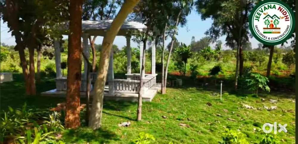 Secure Investitive farmland with clear title