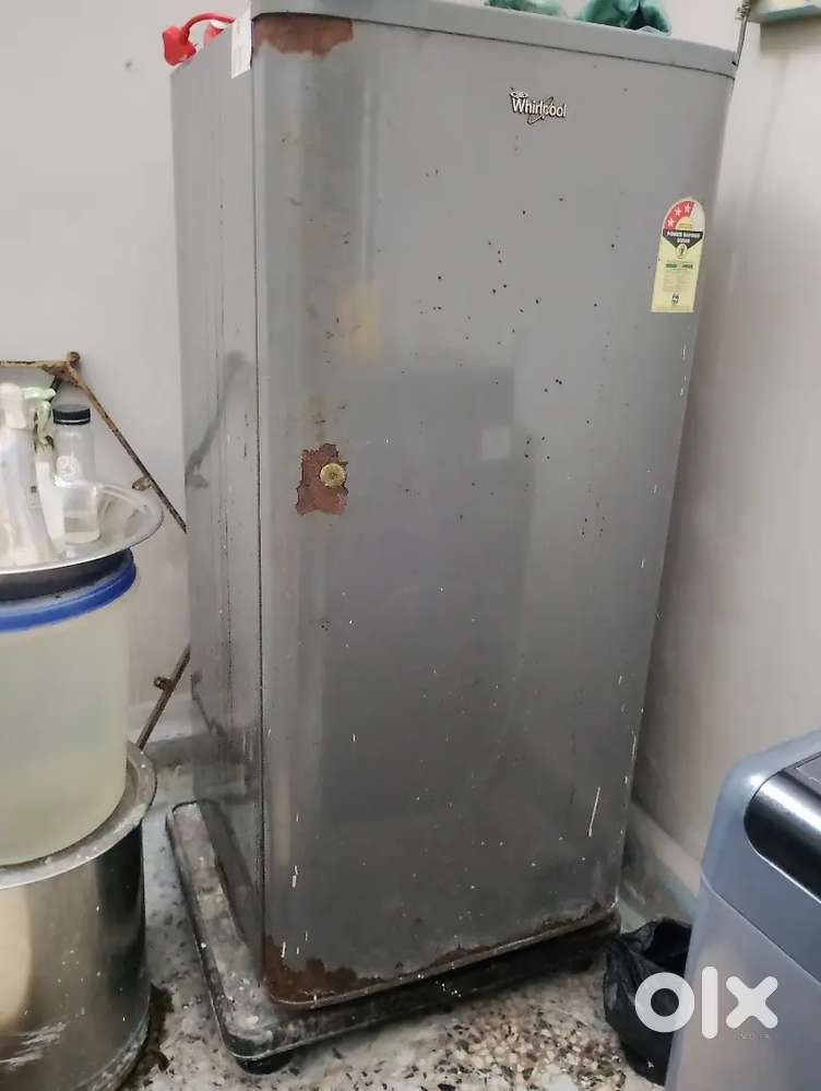 Fridge lelo