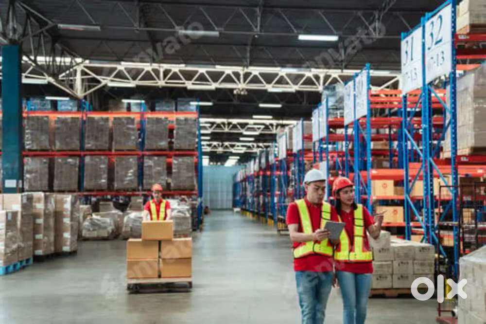 WARE HOUSE PACKING, HELPER, SCANNING JOB IN AVAILABLE NOW