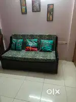 Sofa cum Bed