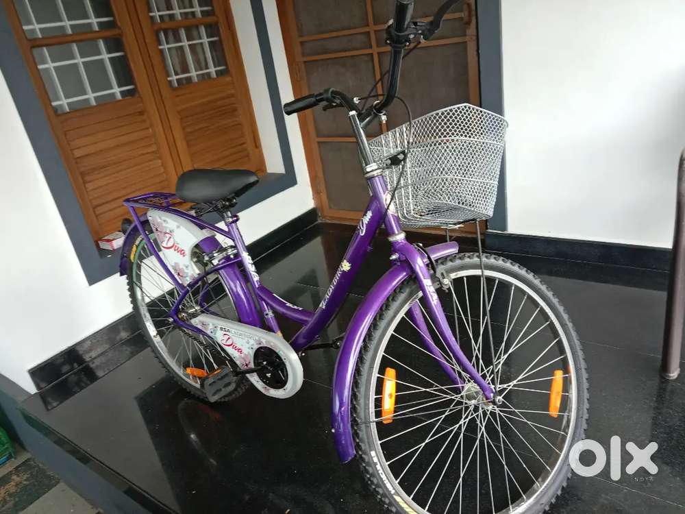 Brand new bsa lady Bird